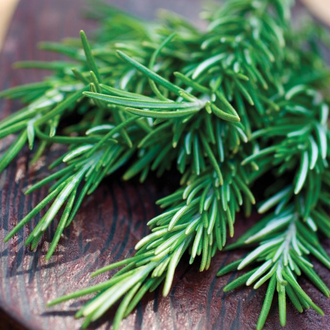 Rosemary