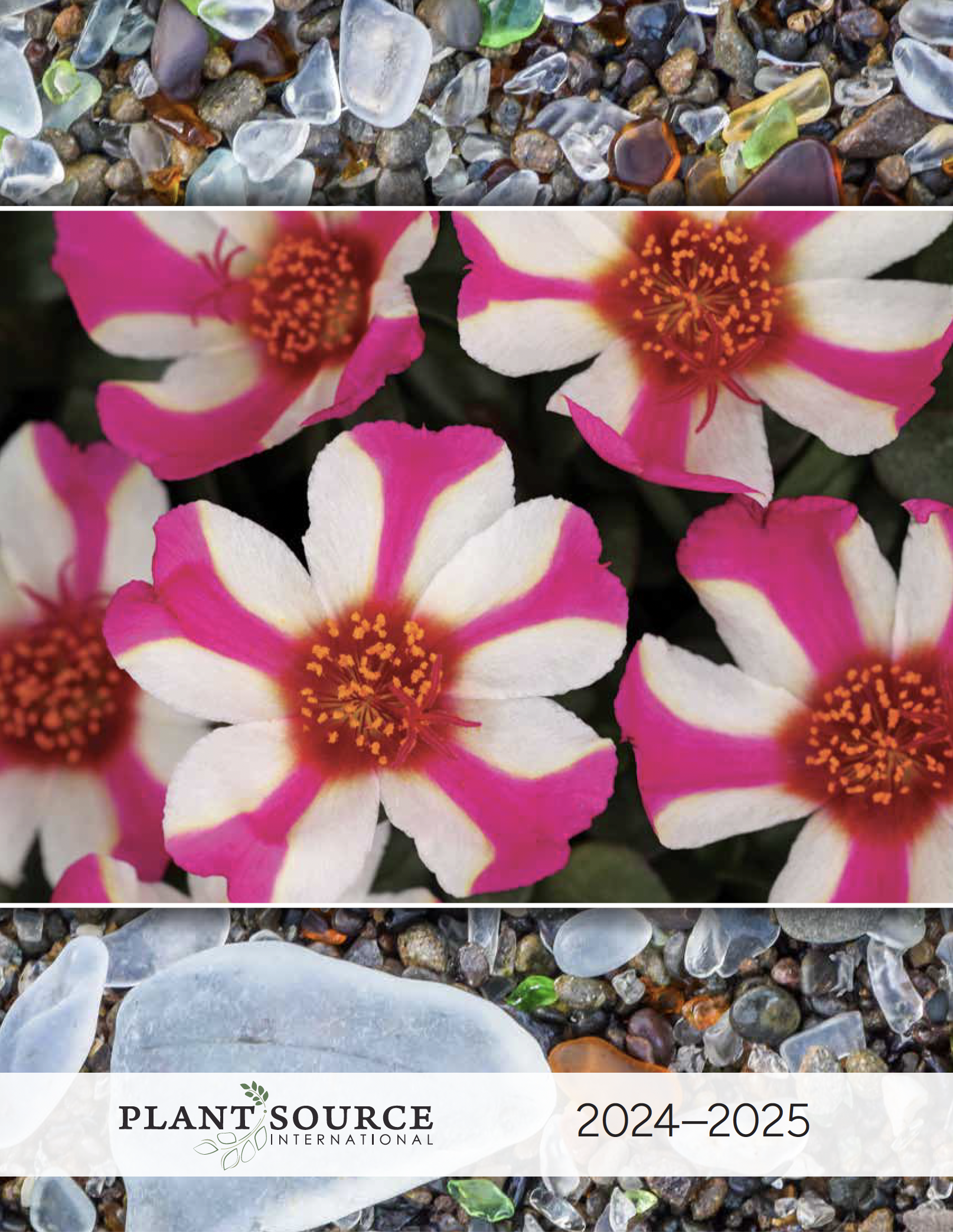 View Catalog - Plant Source International