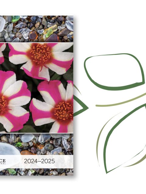 psi catalog 2024-2025