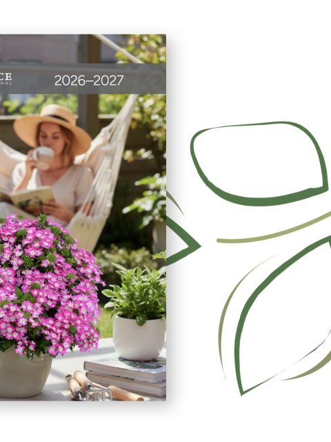 2026-2027 Catalog
